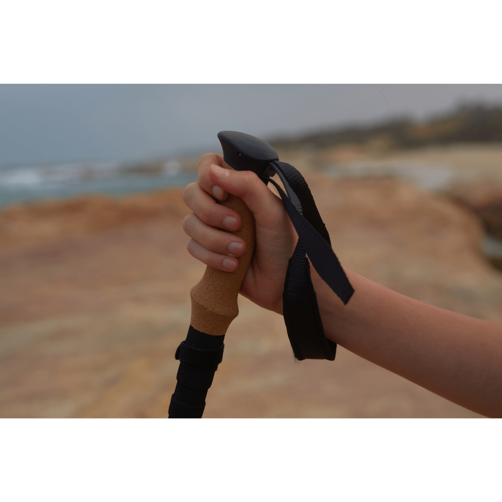 ATEPA Alpenstock Ultra-Light Trekking Poles - Pair