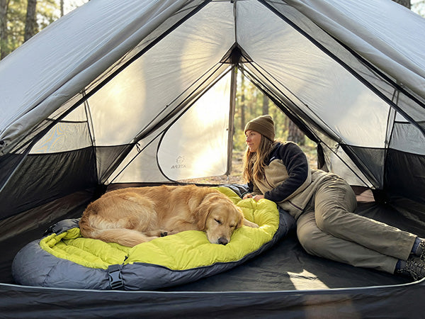 ATEPA 2-Person Ultralight Backpacking Tent GREY